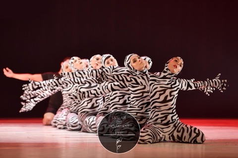 Groupe de danseuses en costumes zébrés alignées, éclairage rouge